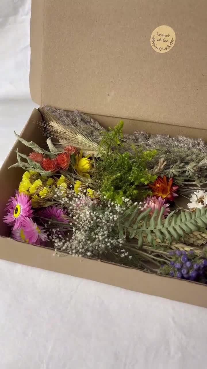 Equipments - Decorative Boxed Dried Preserved Flowers