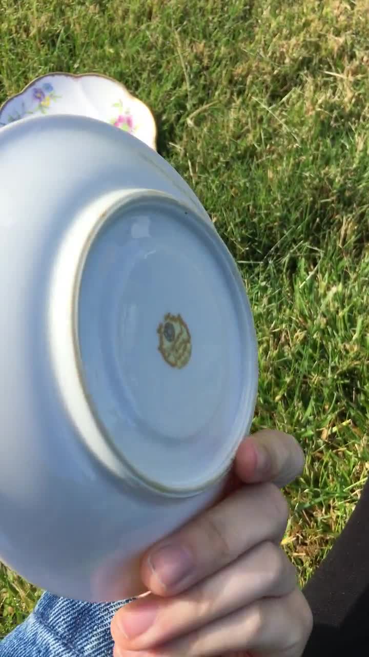 Vintage 1940s Made in Occupied Japan Diamond China Roslyn Saucer