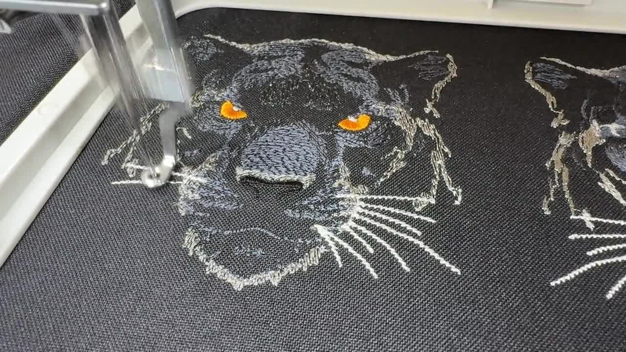 Chi Paga I Danni Causati Da Animali Selvatici - Foto 4