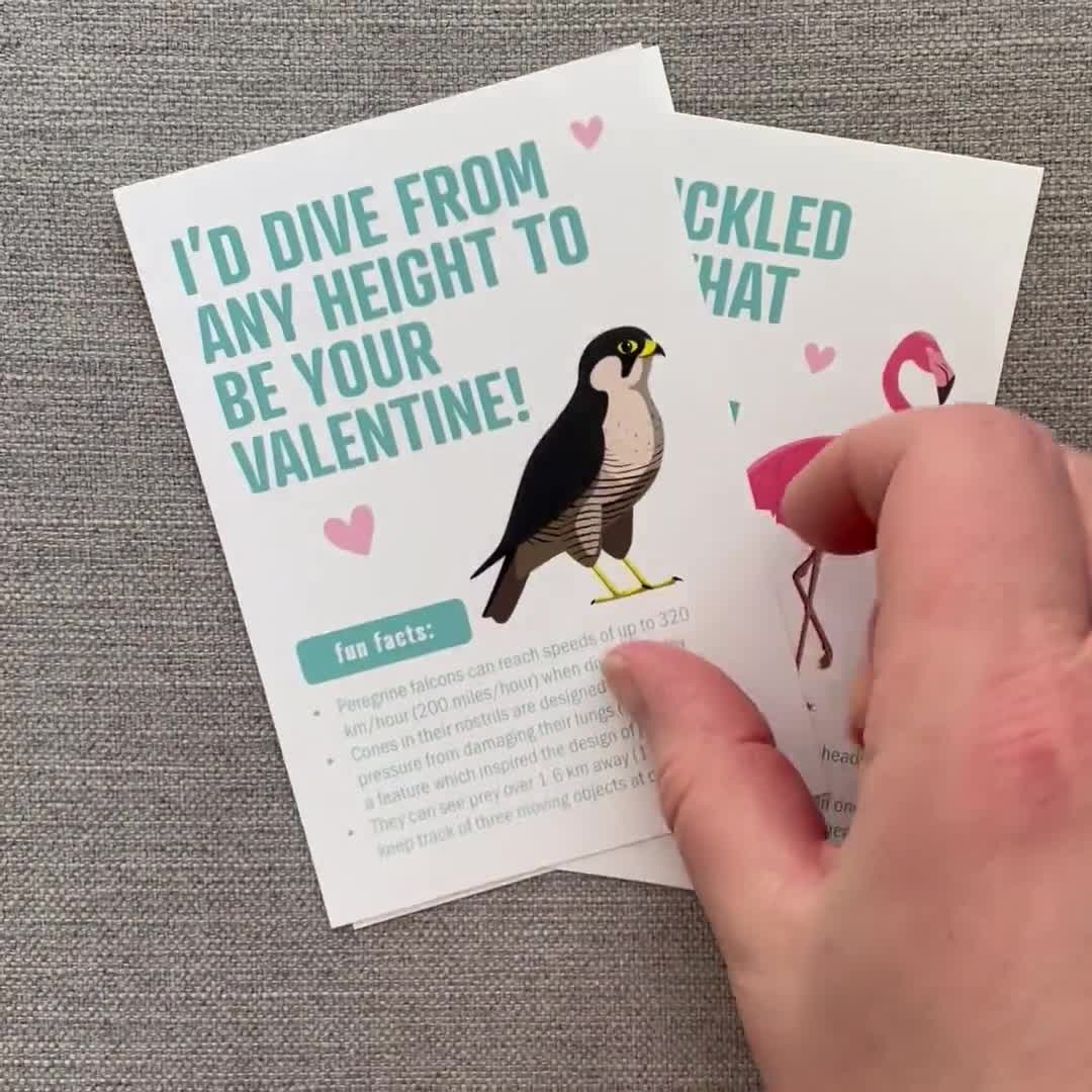 Printable BIRD FACTS Valentine's Day Cards . Kids Valentines . Fun Facts .  Hummingbird, Peregrine Falcon, Flamingo, Owl . Educational -  Canada