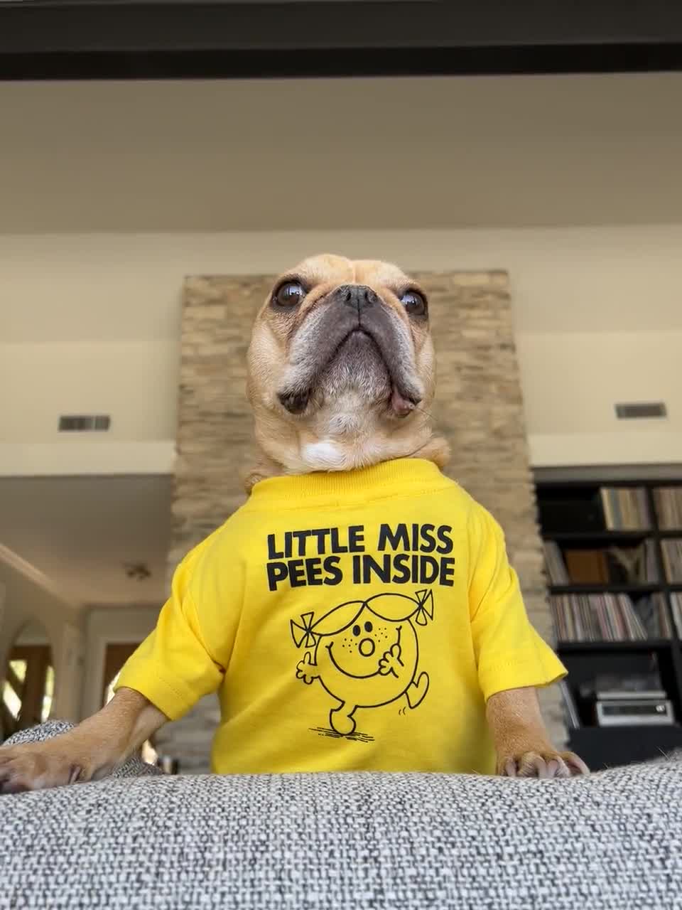 I'm Doing Frenchie Stuff Dog Tee - Club Huey