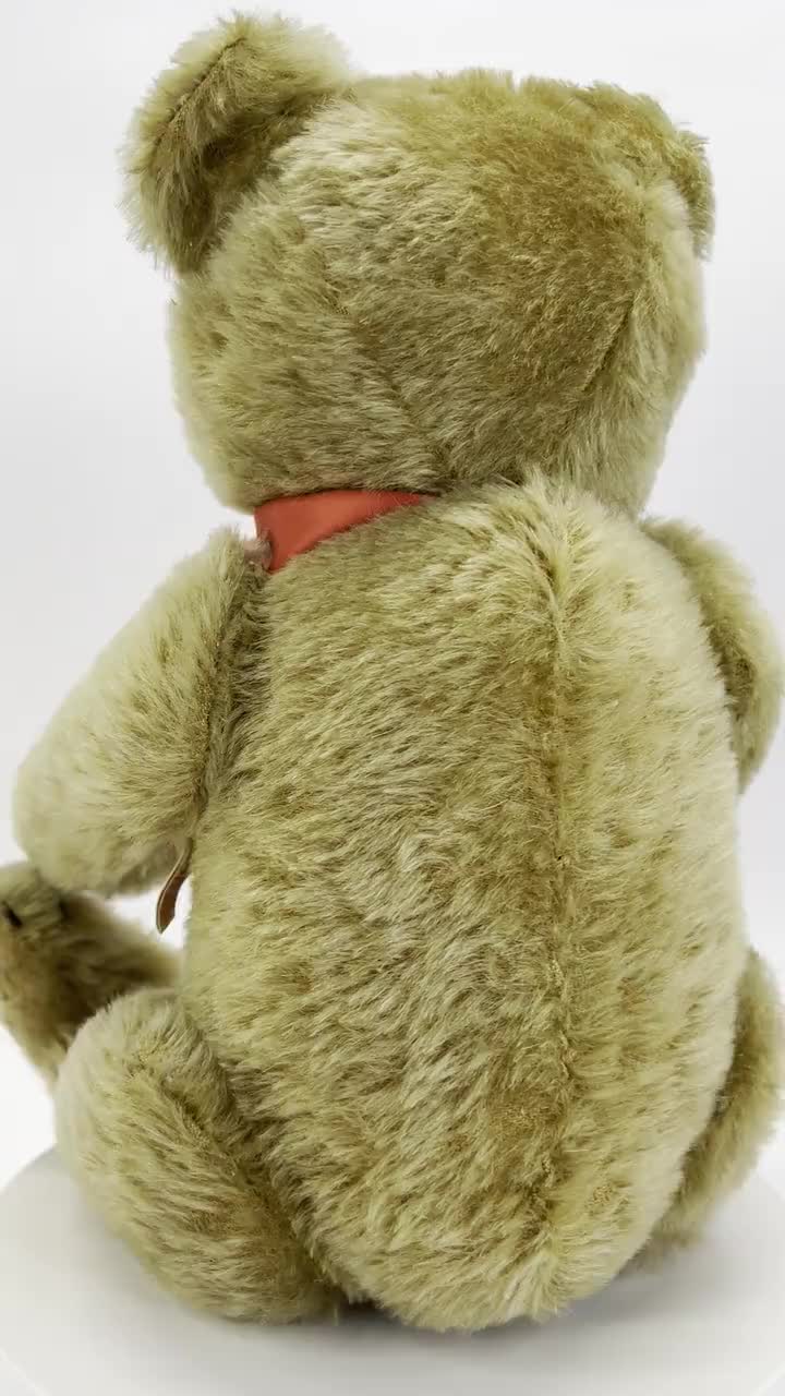 White-Steiff-Teddy-Bear-IDs-17