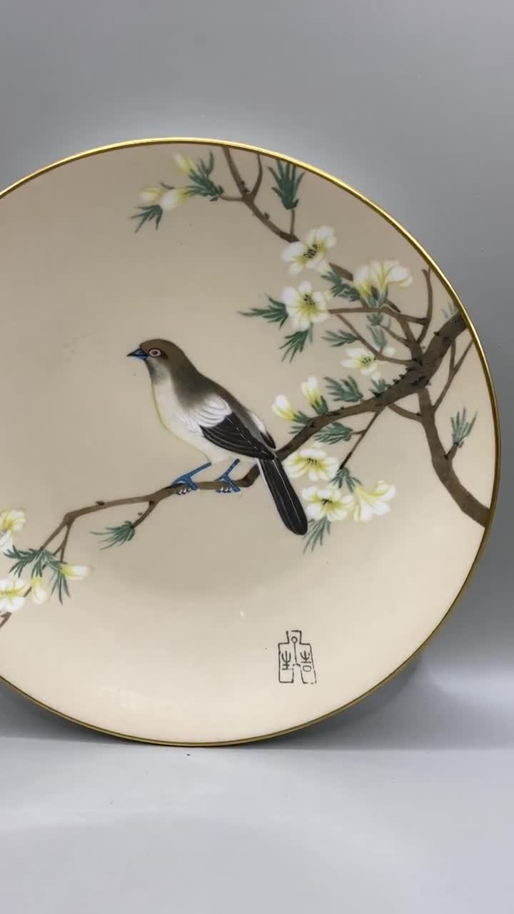 Whitekehlchen Vogel Teller: Crown Serie Dekorative China Porzellan, image size:720x1280