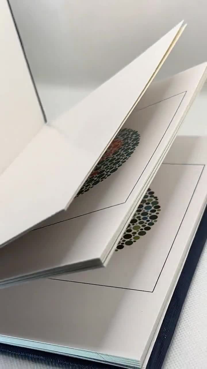 Ishihara Color Vision Test Book 14 Edizione Concisa 2024 Tavole con Manuale Utente - Italia