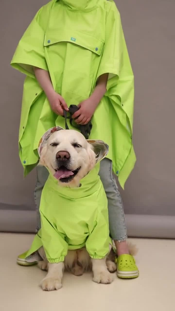 お揃いの犬と飼い主のレインコートセット：防水仕様でペット好きへの