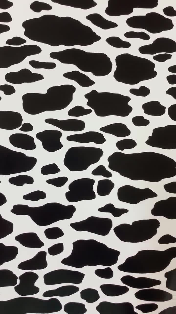 #354 CLEAR Cow Print Match 12x12 Pattern Vinyl