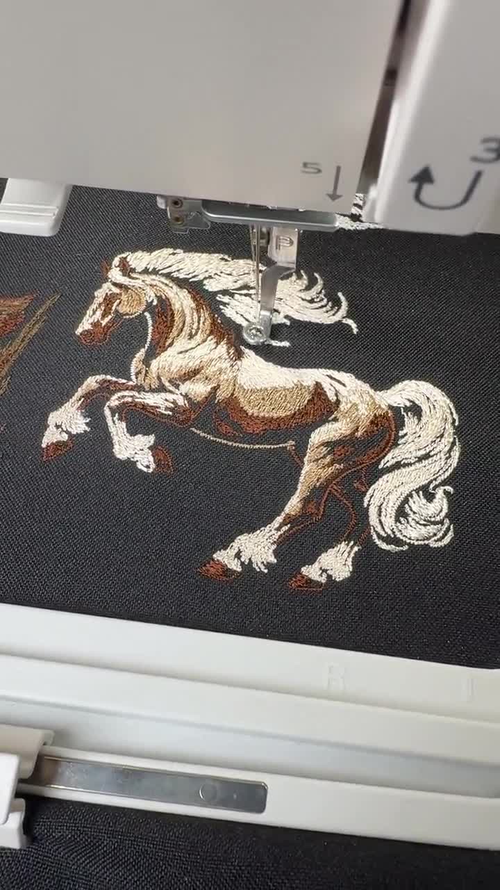 高貴な馬の刺繍デザイン - 濃い色の生地に白いたてがみを持つ野生の