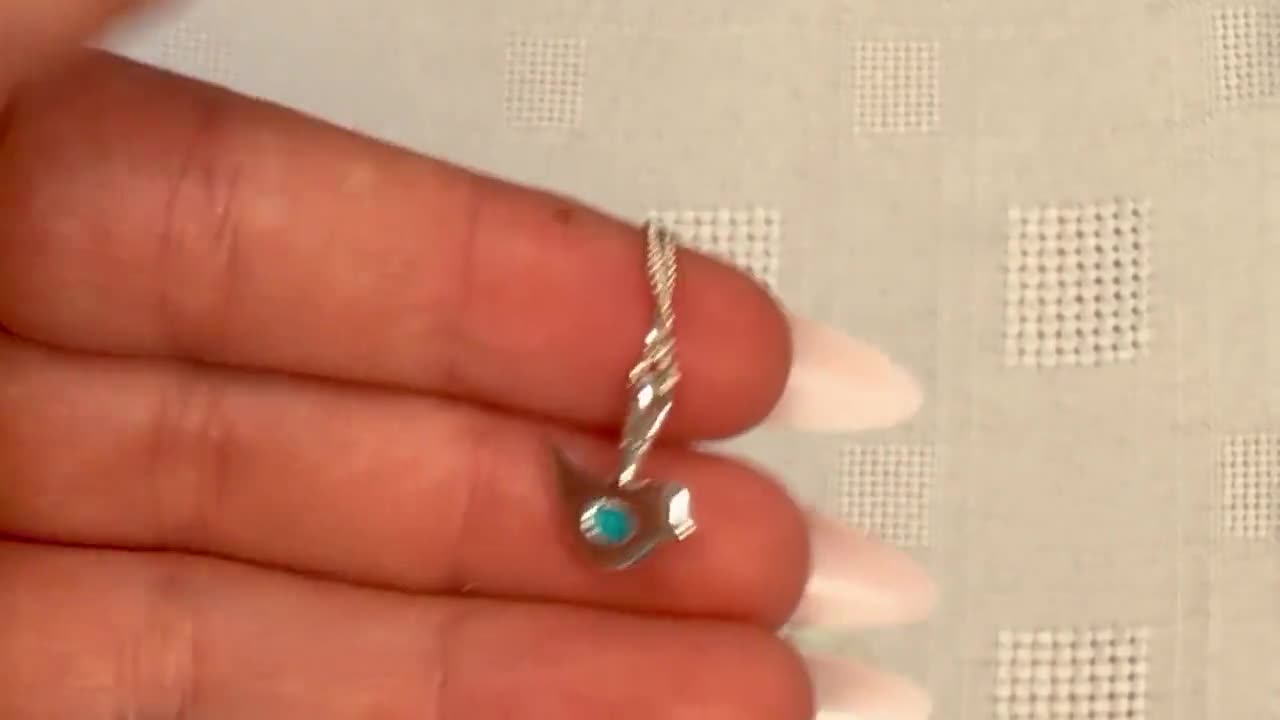 スターリングシルバーの鳥ネックレス：ターコイズのアクセント、鳥好き