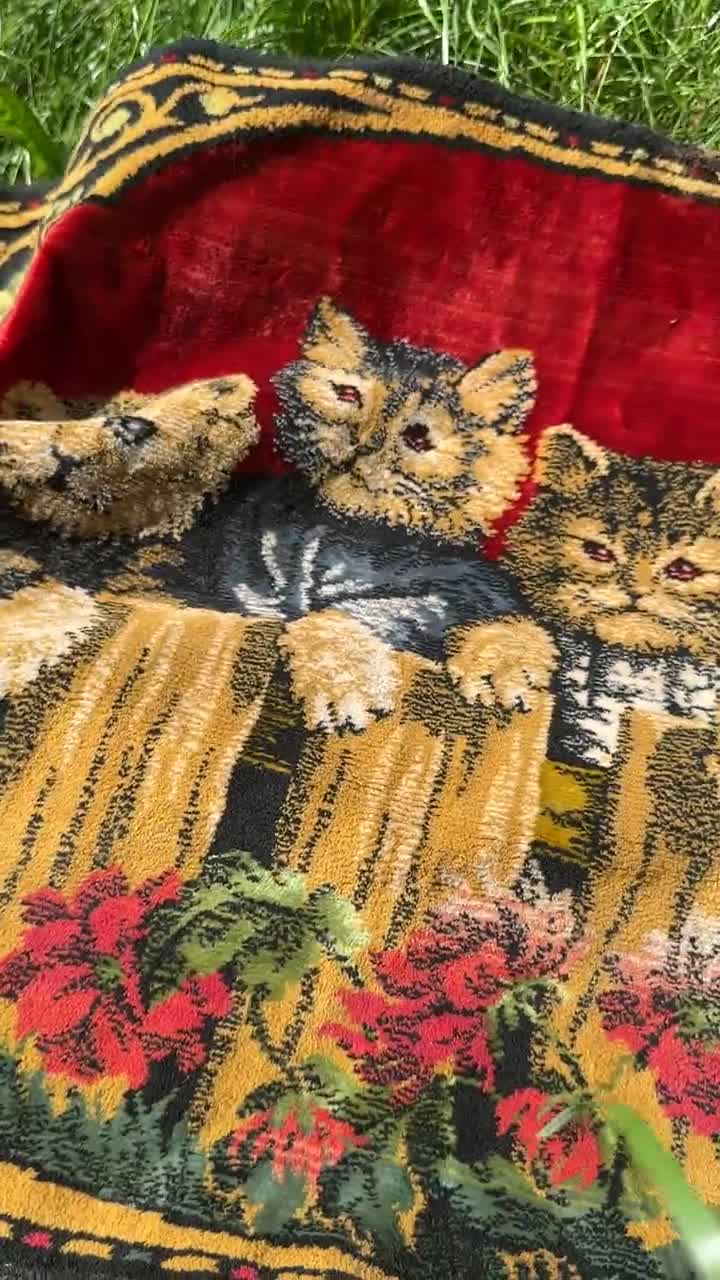 Vintage Kitty Cats Picture Rug // 21x40