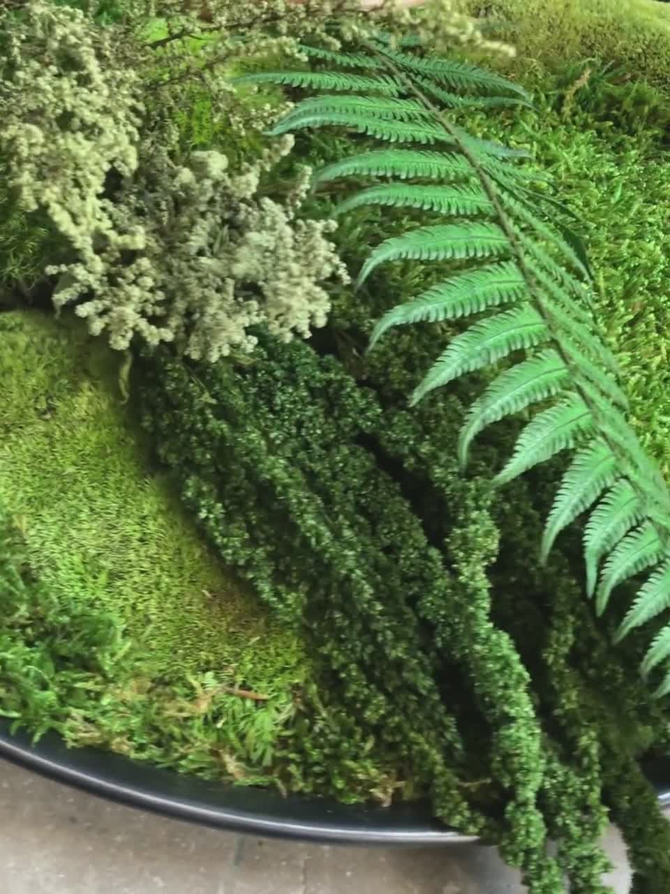 Faux Moss Wall with Ferns - Terrain