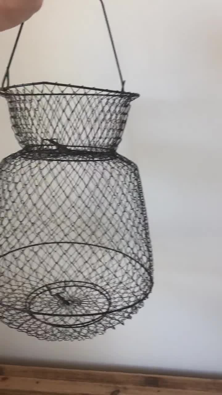 Vintage Round Collapsible French Green Wire Fish Basket / Oyster