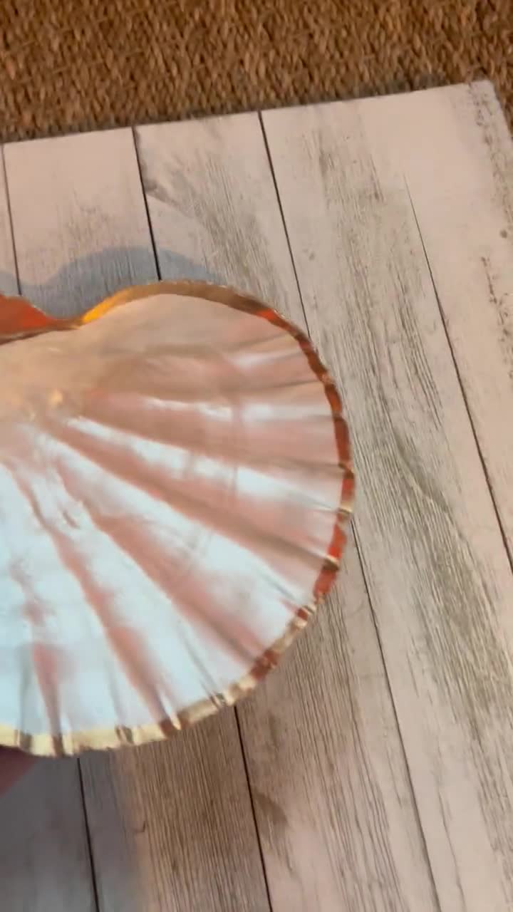 Scallop Shell Ring Dish, Jewelry Tray, Beach Themed Gift, Seashell