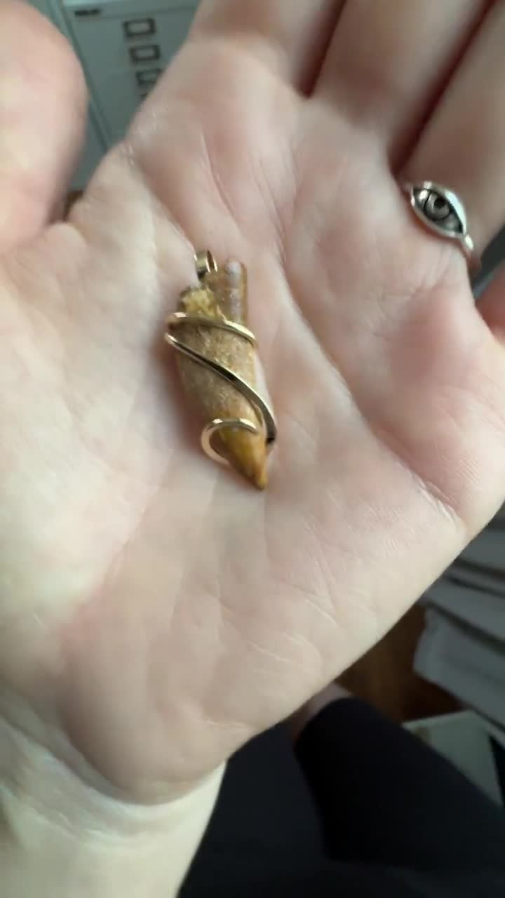 Dinosaur Tooth in 14k Gold Pendant - Etsy