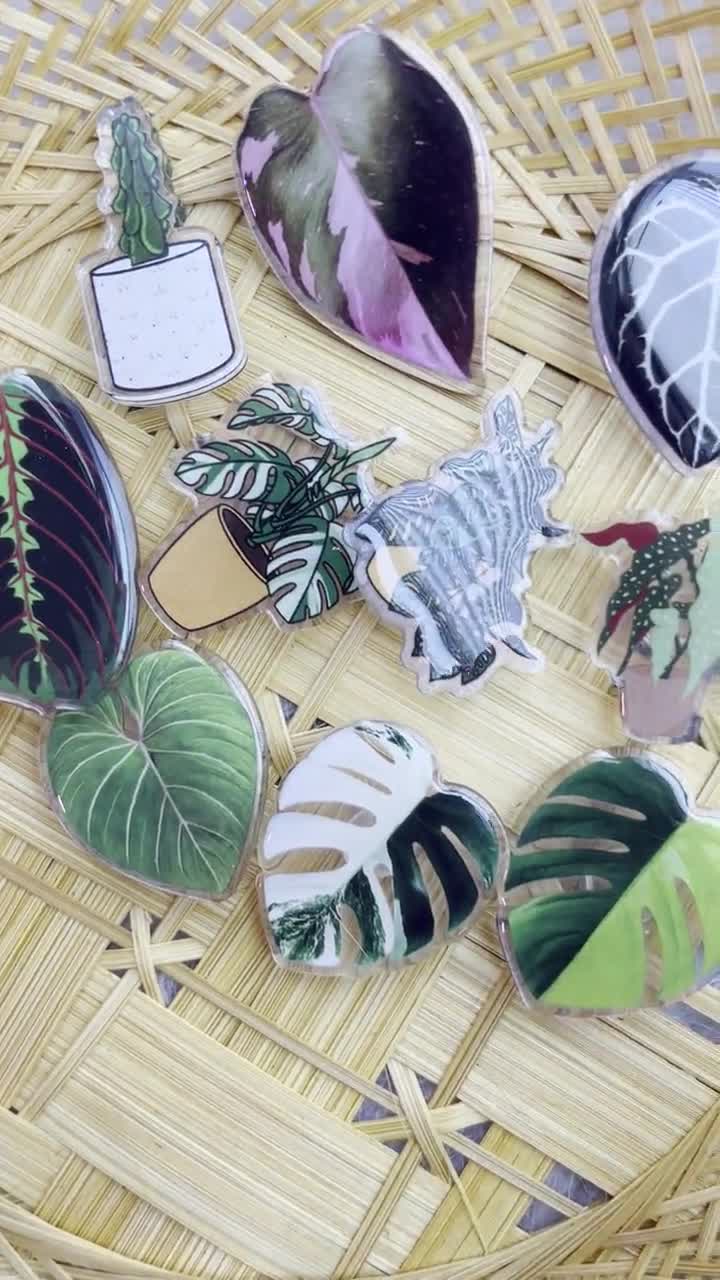 Monstera Albo Variegated Plant Leaf Charm for Shoes, Crocs Plant Charm,  Indoor Plant Pin Charm for Clogs, Houseplant Accessories for Shoes 