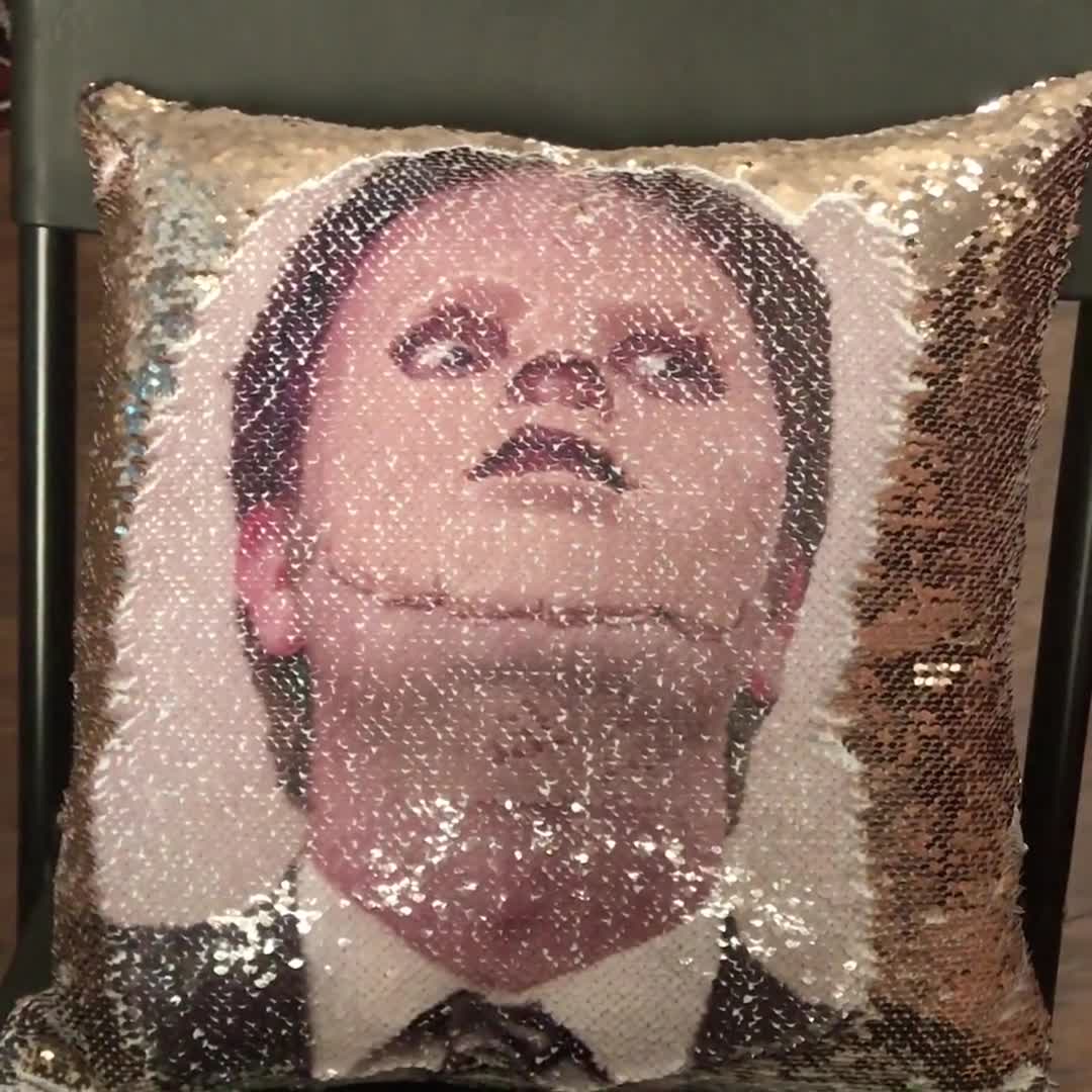 DWIGHT SCHRUTE the Mask the Office Fan Sequin 