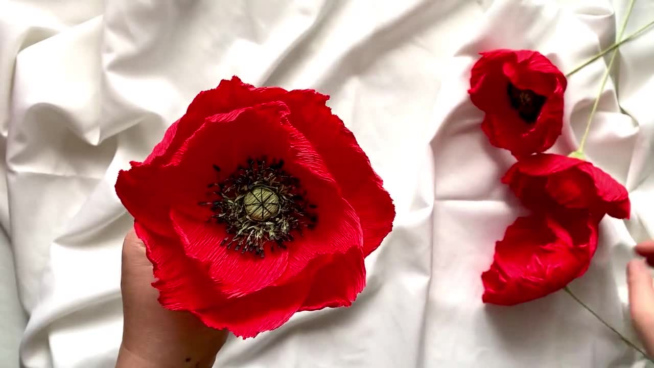 Paper Poppies - Poppy Craft Flowers Red (Pack of 16) : .co