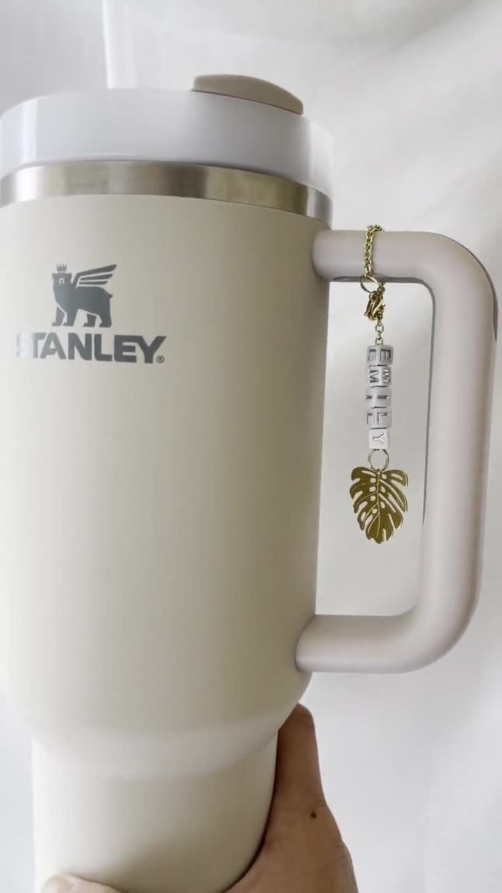 Stanley Tumbler Cup Charm Accessories for Water Bottle Stanley Cup Tumbler  Handle Charm Stanley Accessories Water Bottle Charm Accessories -   Israel