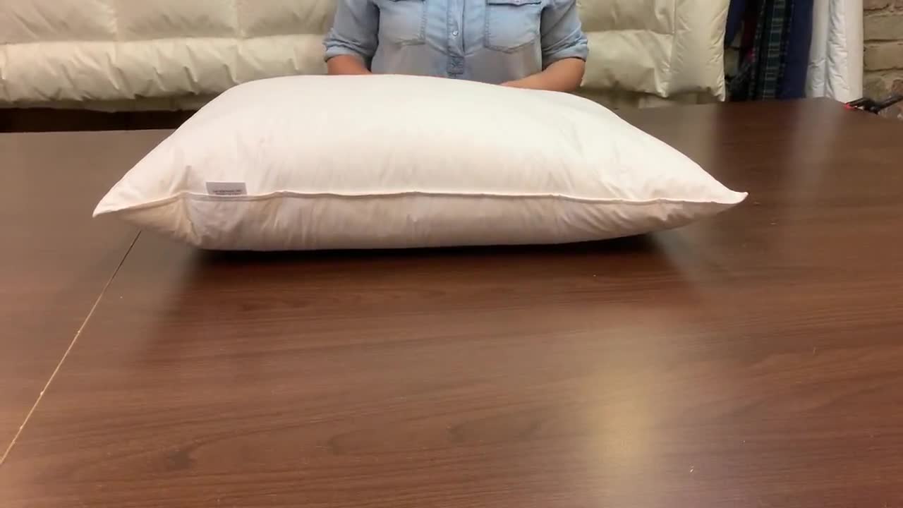 750 fill down on sale pillow