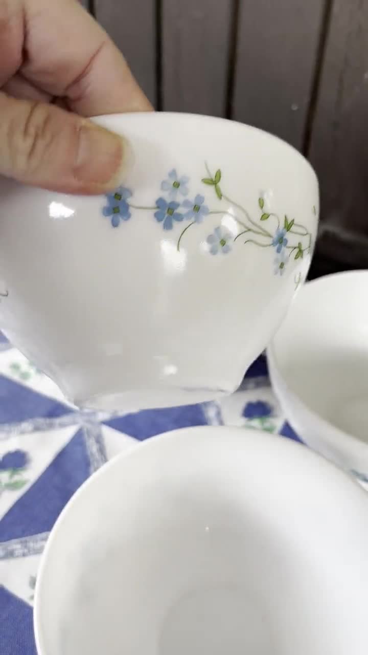 Assiette Arcopal Myosotis : vaisselle vintage pour collectionneurs