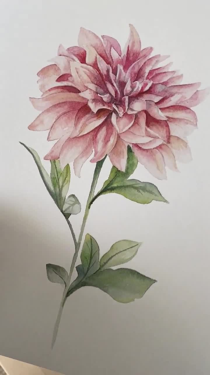 Watercolor Dahlia Wall Art | Watercolor Pink Dahlia Painting