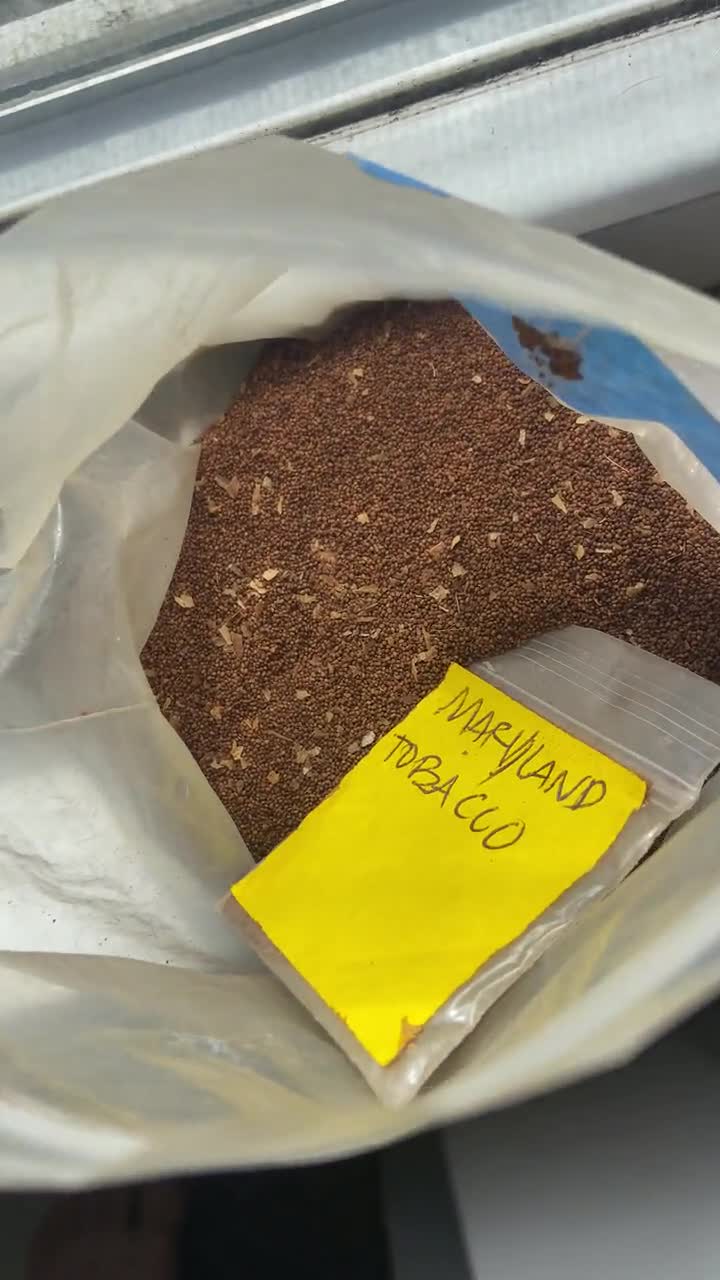 tobacco and more clendenin wv TOBACCO & MORE 4 - Updated June 2026 - 2 Elk River Rd S, Clendenin, West  Virginia - Tobacco Shops - Phone Number