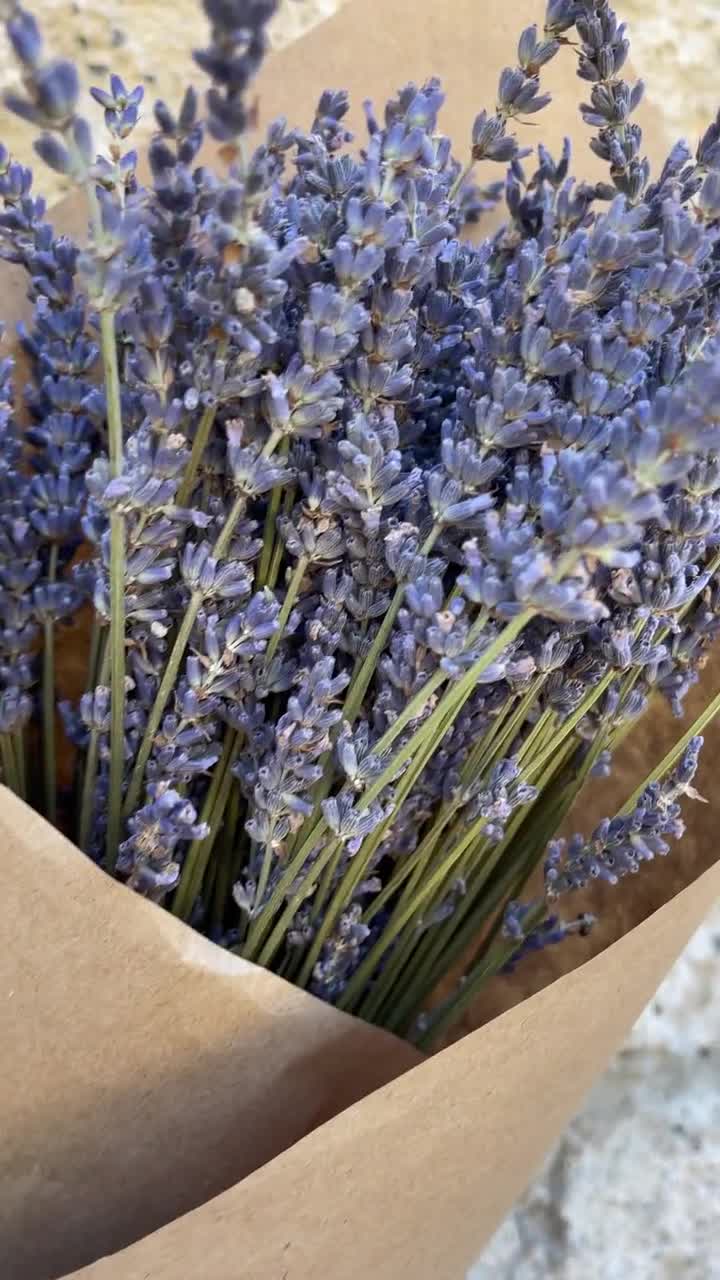 Lavender Flowers Air Dried Premium Blue Fragrant (90+ Stems)
