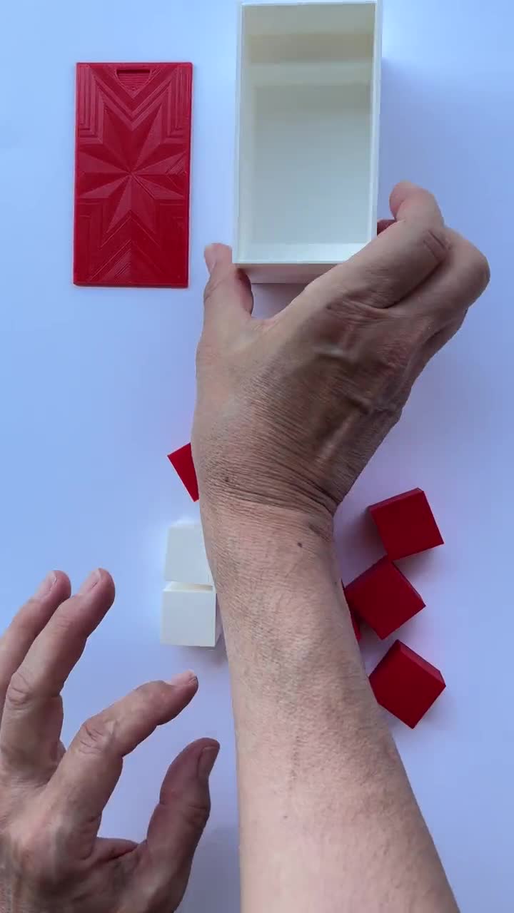 コーズキューブ。赤と白のブロック14個。ウェクスラー・コーズブロック
