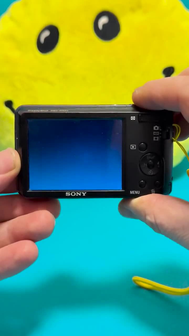 Sony Cyber-shot DSC-W520 Black 14.1MP Digital Camera - Y2K (SD 32