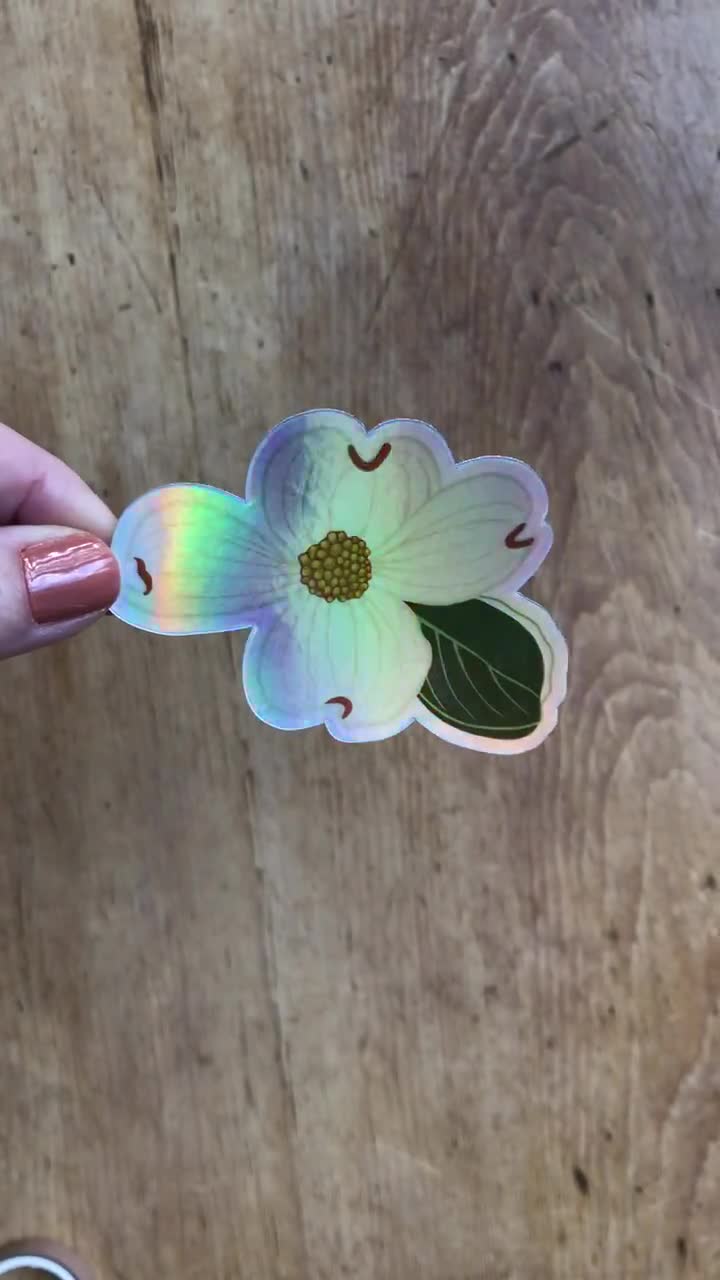 Holographic Dogwood Flower Sticker | Waterproof Botanical Decal video poster