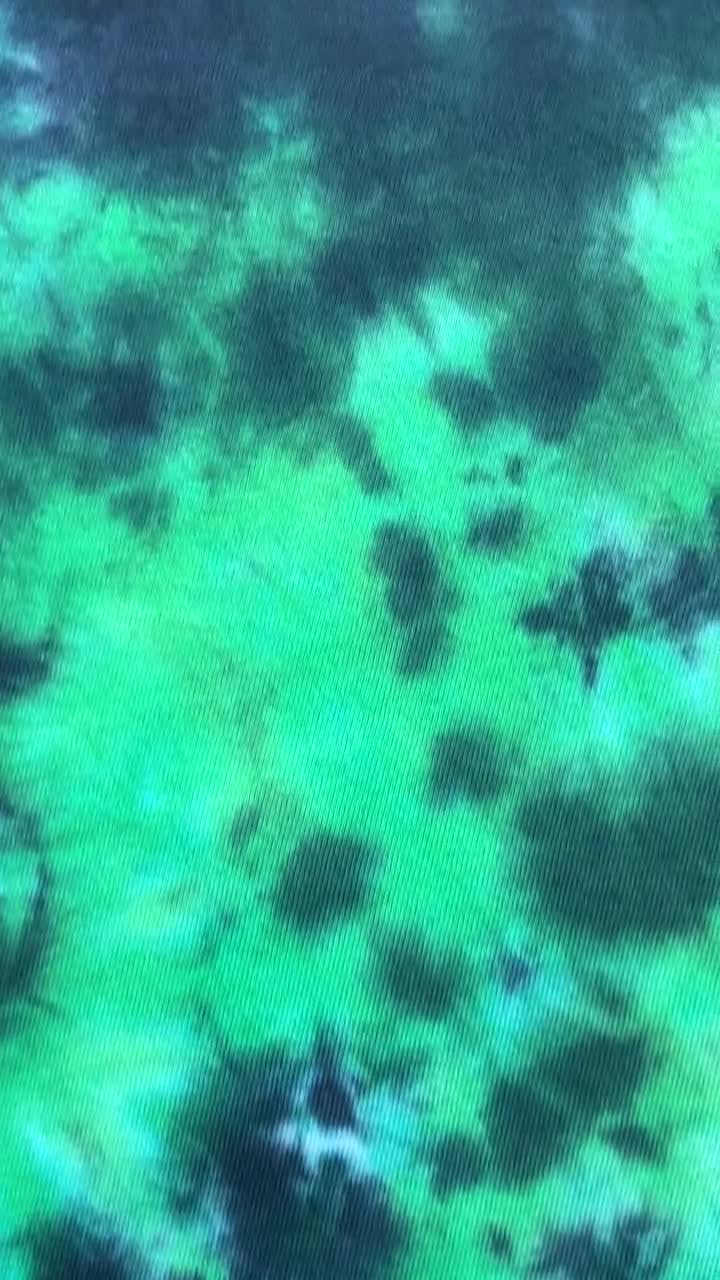 Green and Black Scrunch Tie Dye T-shirt, Adult, Youth, Unisex, XS, S, M, L,  XL, 2XL, 3XL, 4XL, 5XL, Dyed in the UK, Gift 