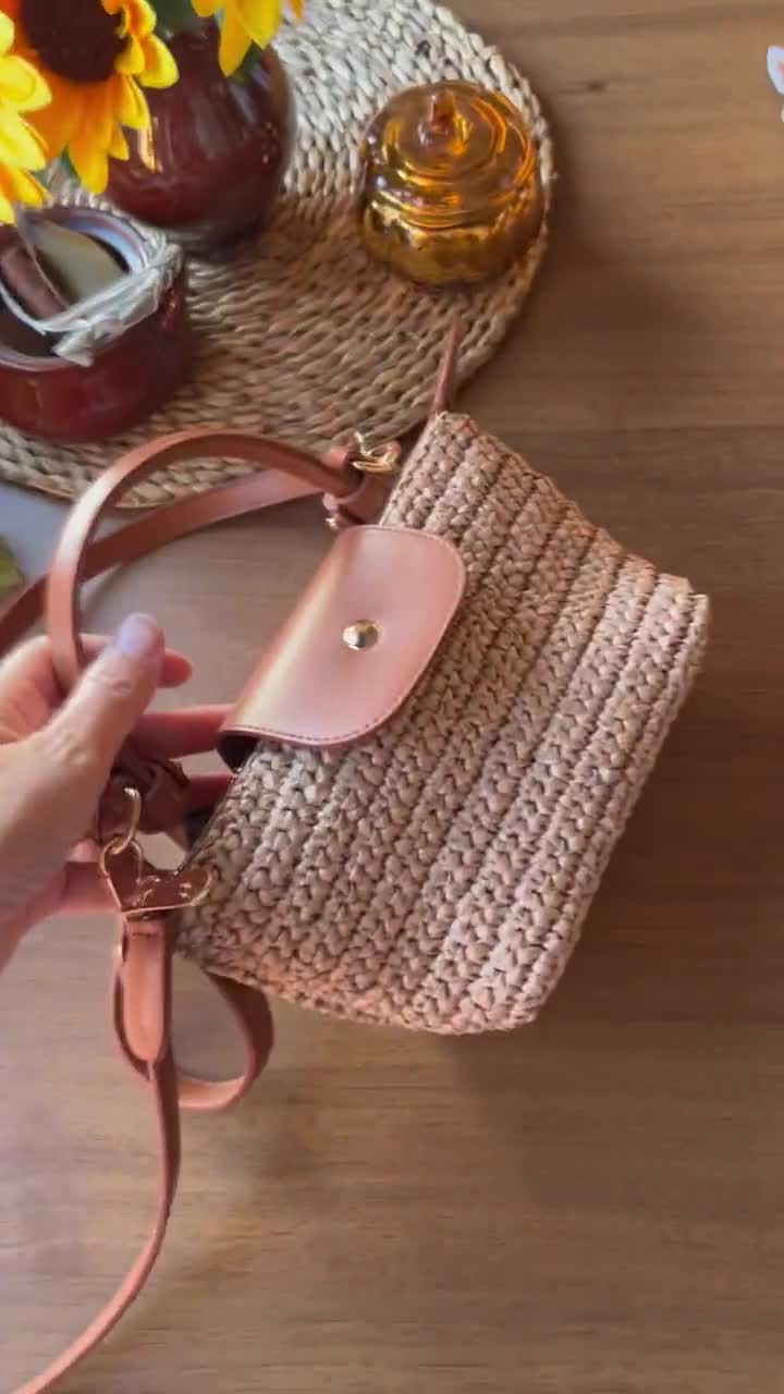 Raffia Longchamp Style Mini Bag, Crochet Crossbody Bag: Straw Bag