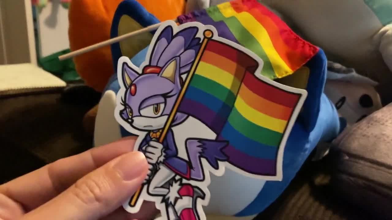 SEGA Sonic the Hedgehog Amy Rose LGBT Pride Flag Vinyl -  Portugal