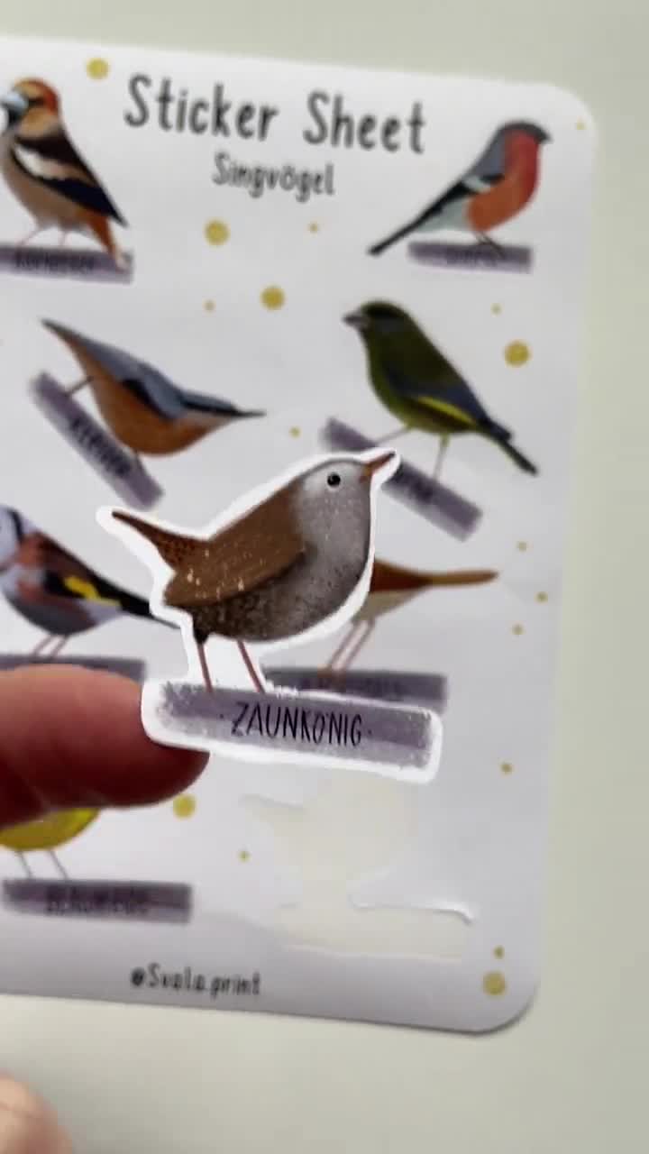 Sticker songbirds | Sticker bullet journal | Journal Stickers | Stickers  nature & birds