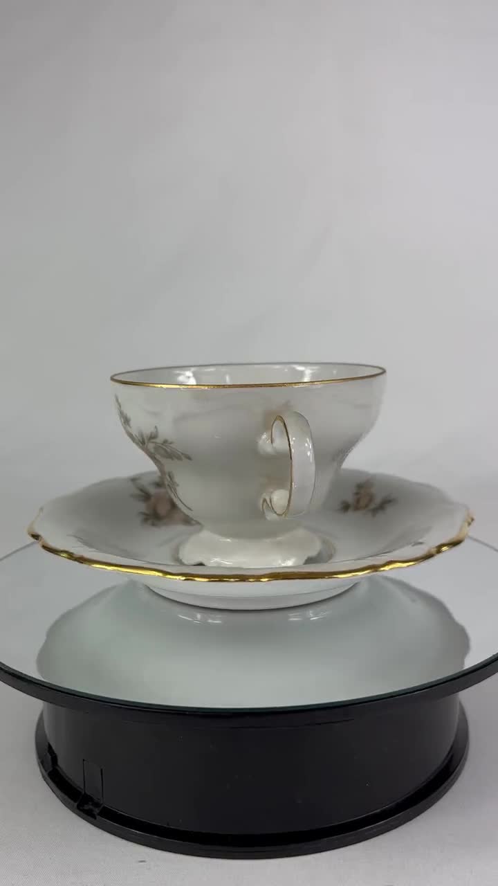 1940's Johann Haviland Bavaria Germany Sepia Rose China 6 Pc Place