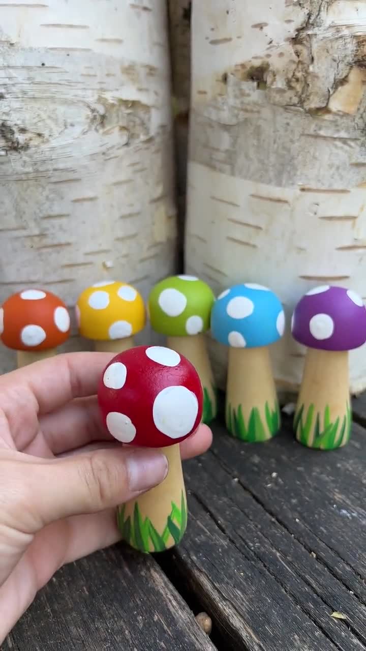 Wooden Mushrooms - Set of 6 Large Closed Cup and Flat 