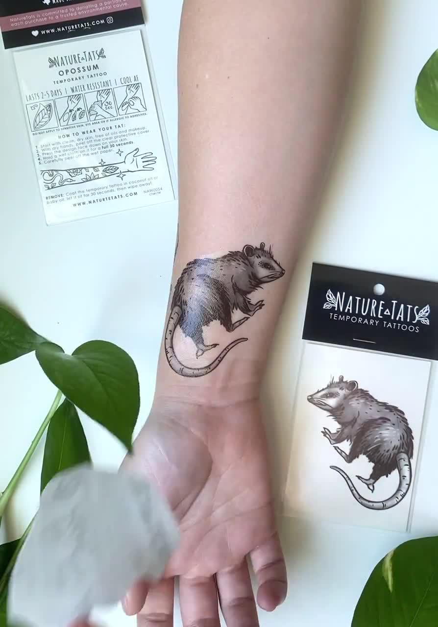 Possum Tattoo Ideas | TikTok