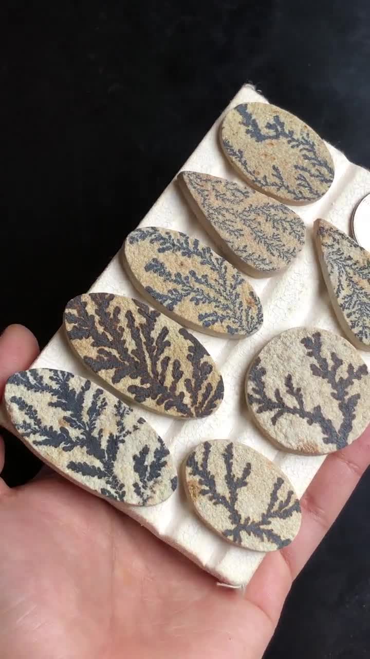 Selected Dendrite Fossil Cabochon, Natural Dendrite Fossil Natural