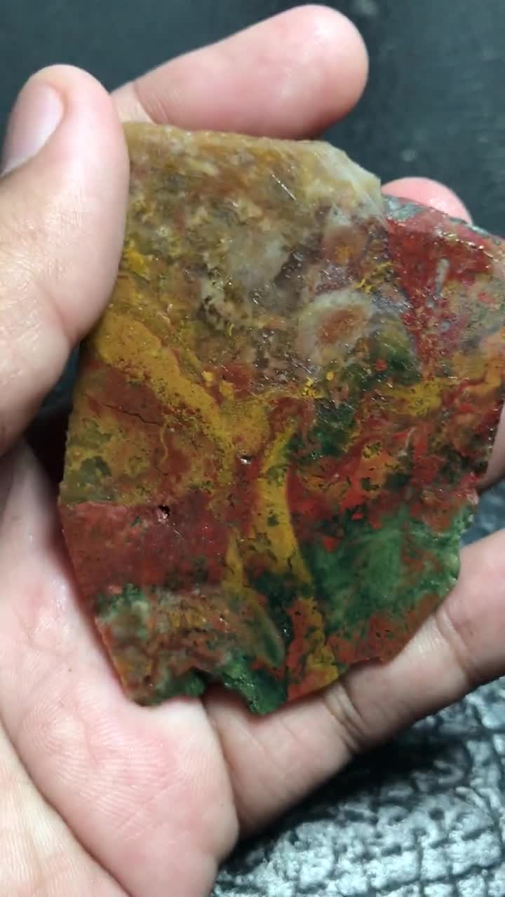 マルチカラーサンゴ化石スラブ 71x51x4 mm – インドネシア産の未研磨