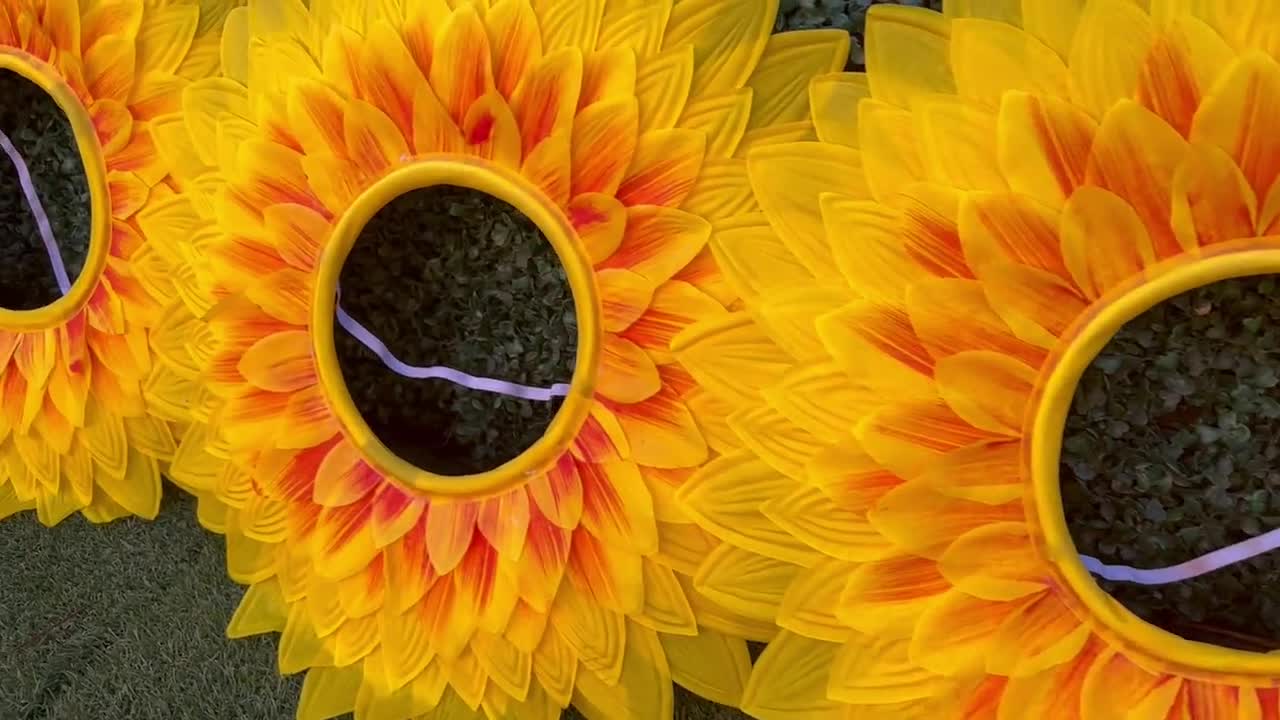 Costume da spettacolo per adulti girasole giallo, maschio e femmina,  spedito lo stesso giorno leggere la descrizione -  Italia