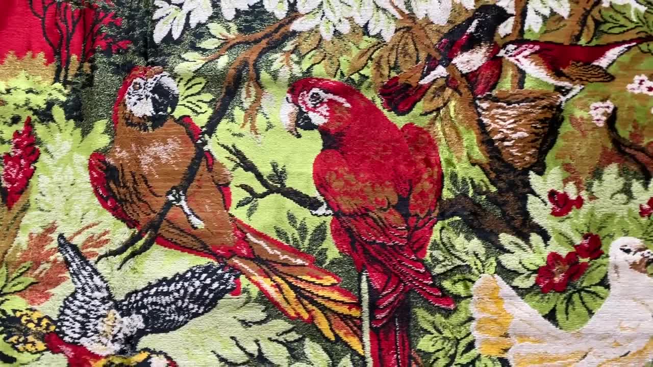 Very Rare Bird Figure Tapestry in Picture Tapestry Carpet, Rare Design  Tapestry Carpet, Bird on Branch, Parrot and Birds, Wall Decor 