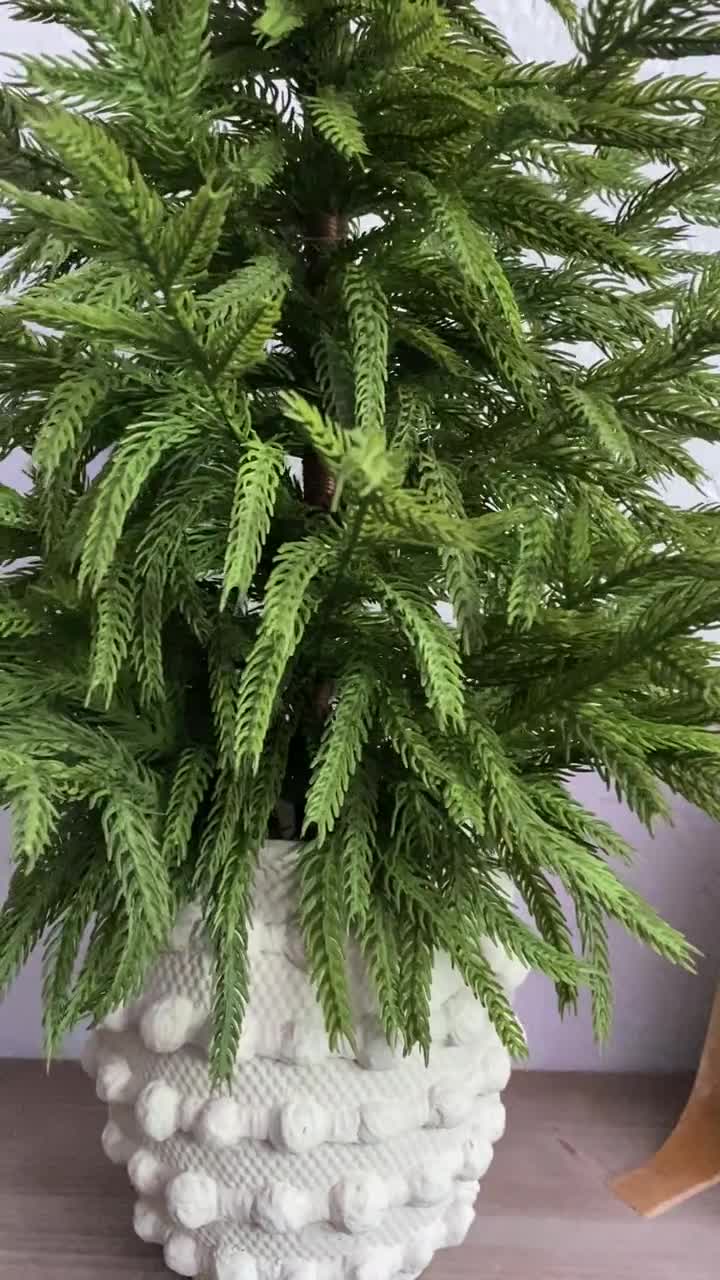 Real Touch Artificial Norfolk Pine Tree in Hobnail Pot - 26" Tabletop Christmas Decor video poster