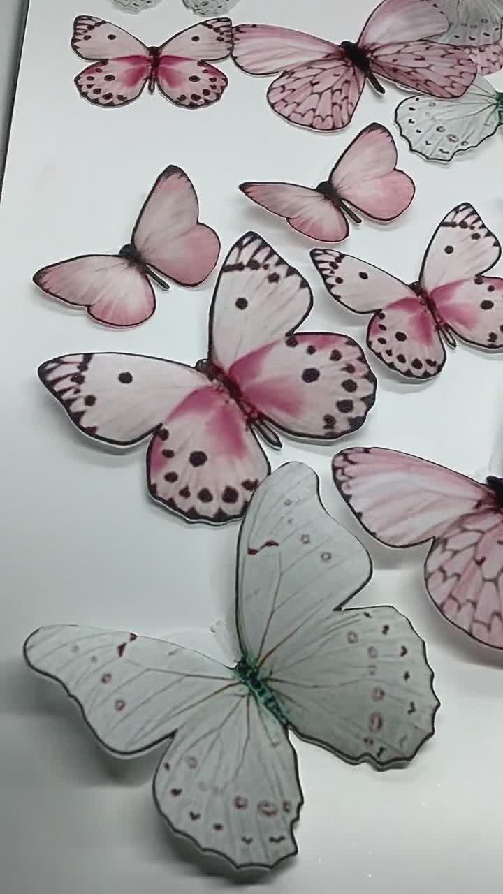 24 PCS set farfalla di wafer commestibile fantasia professionale