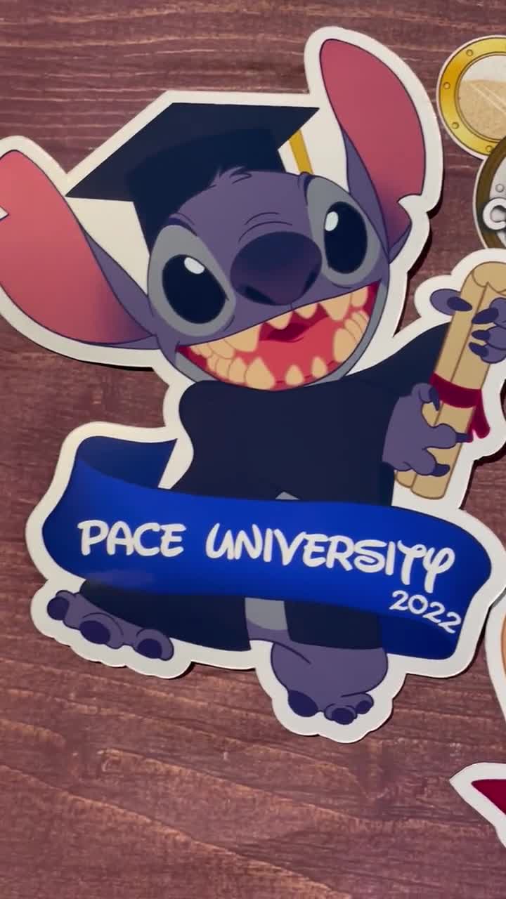 Disney Inspired Lilo and Stitch Graduate/graduation Personalized