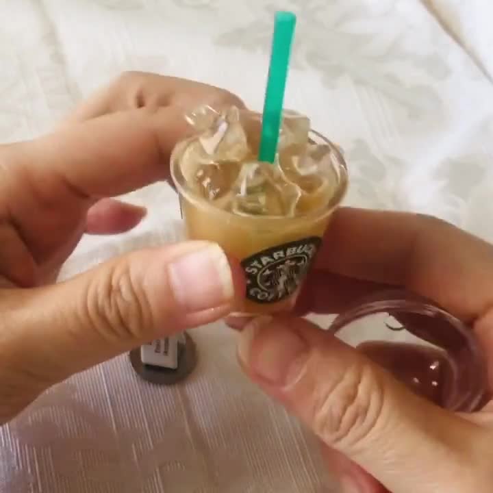 Miniature Starbucks Bubble Tea Frappe Toy Drinks