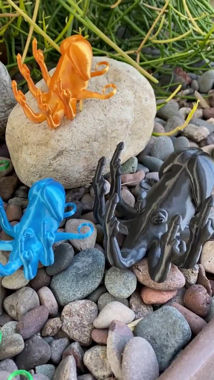 Fucktopus Dickhead Angry Octopus Penis Middle Finger Dickasaurus Rex  Bachelorette Party Gift Funny Prank cocktopus Dino Dick