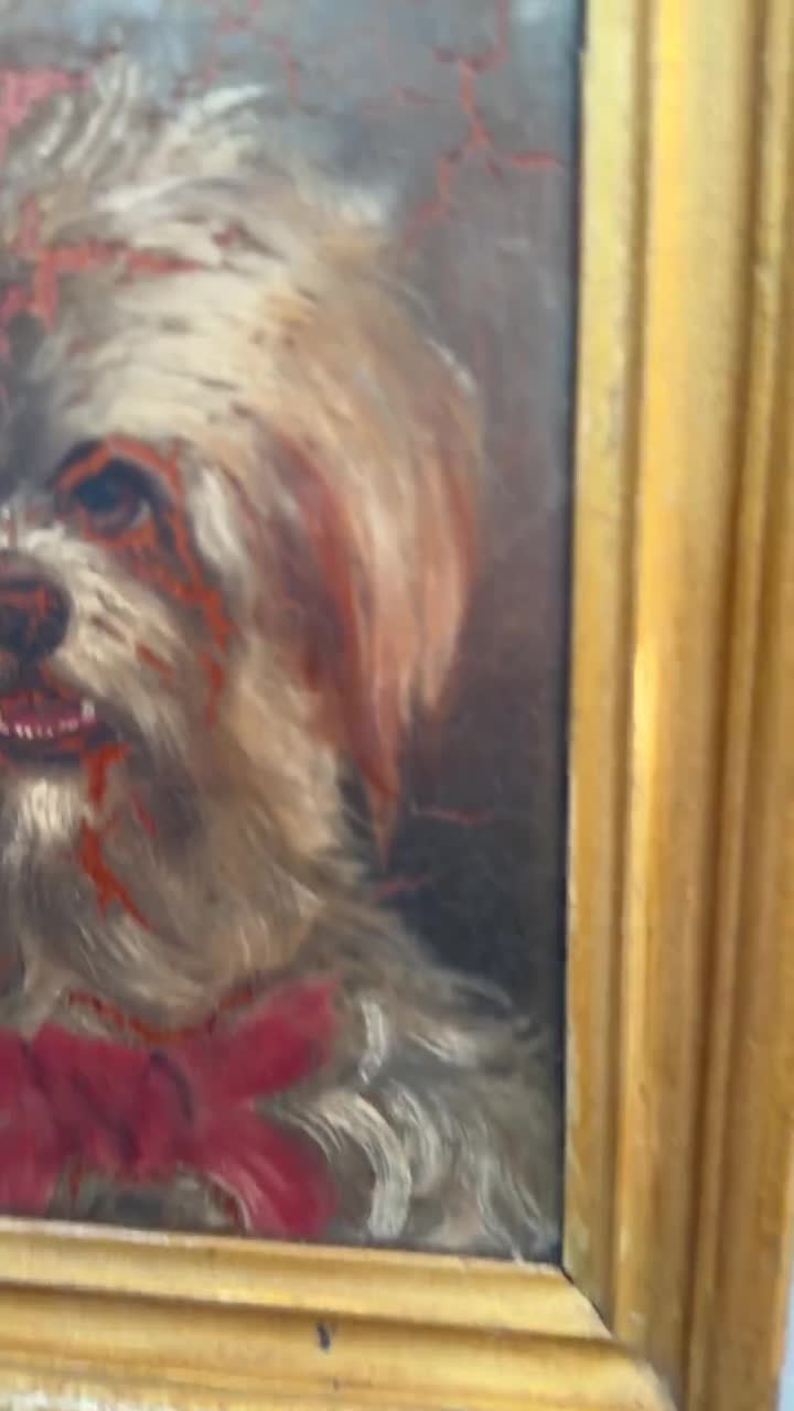 マルチーズまたはシーズー犬の小さなアンティーク油絵肖像画習作