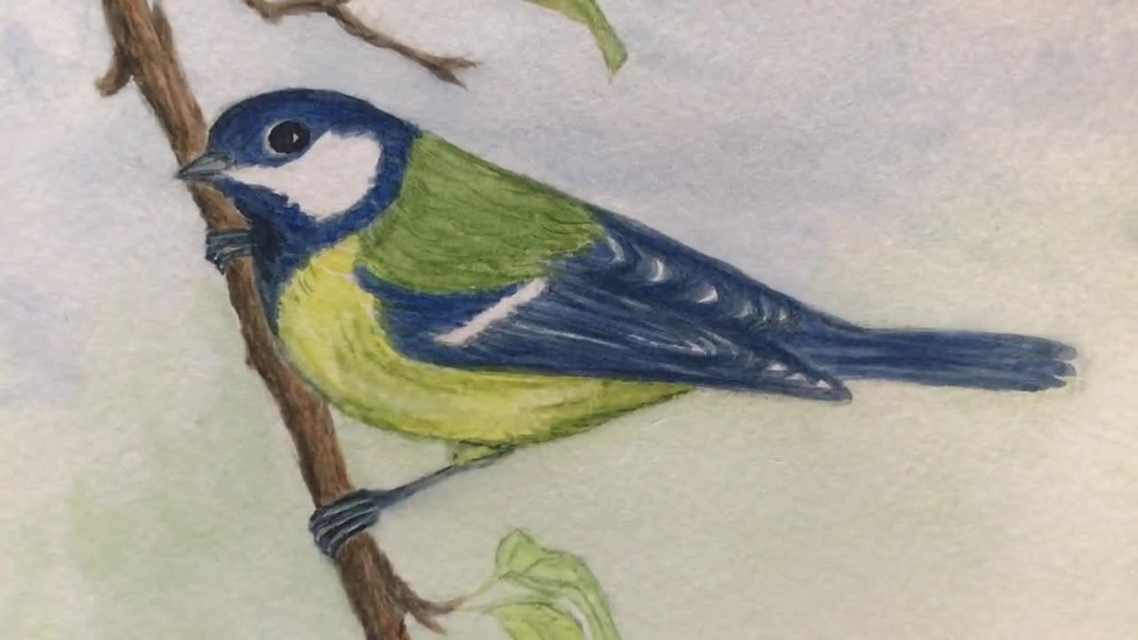 かわいいシジュウカラ、オリジナル水彩画 - Etsy 日本