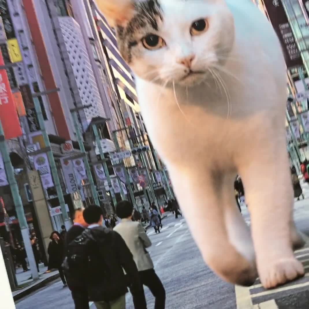 Tokyo Giant Cat Art Print | Tokyo Cat | Cat Person Gift Idea