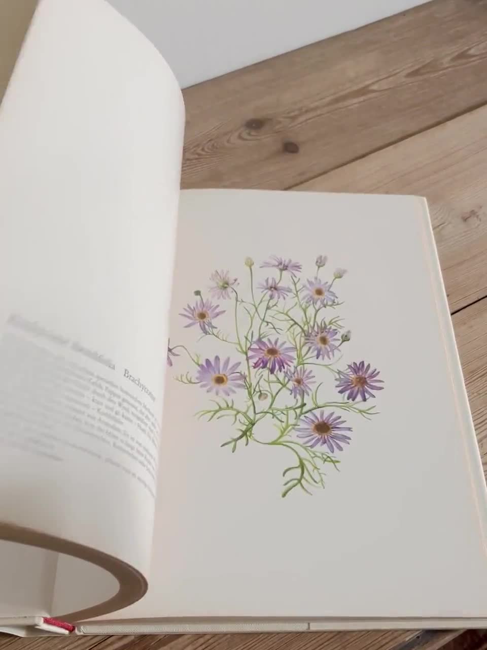 Vintage Big Flower Book With 115 Beautiful Color