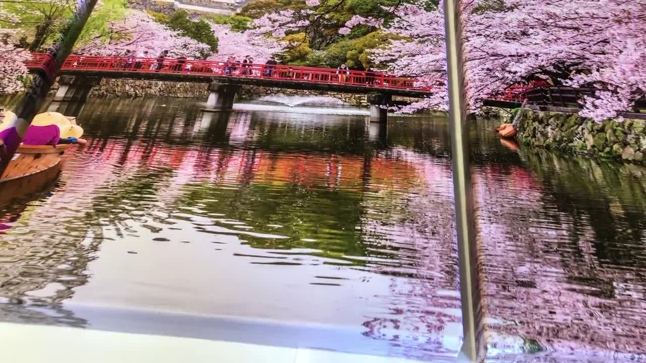 Arte murale Sakura, stampa fiori di ciliegio, tela giapponese Arte